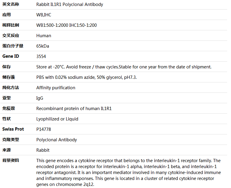 IL1R1 Antibody,索莱宝,K004166P-30ul