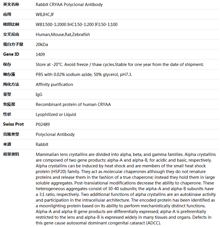CRYAA Antibody,索莱宝,K004164P-50ul
