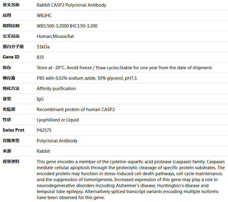 CASP2 Antibody,索莱宝,K004163P-100ul