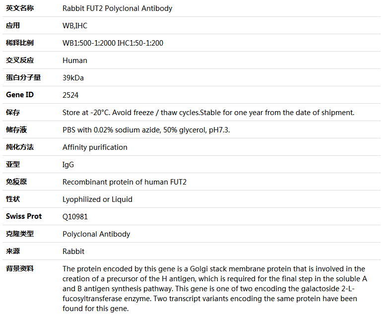 FUT2 Antibody,索莱宝,K004161P-100ul