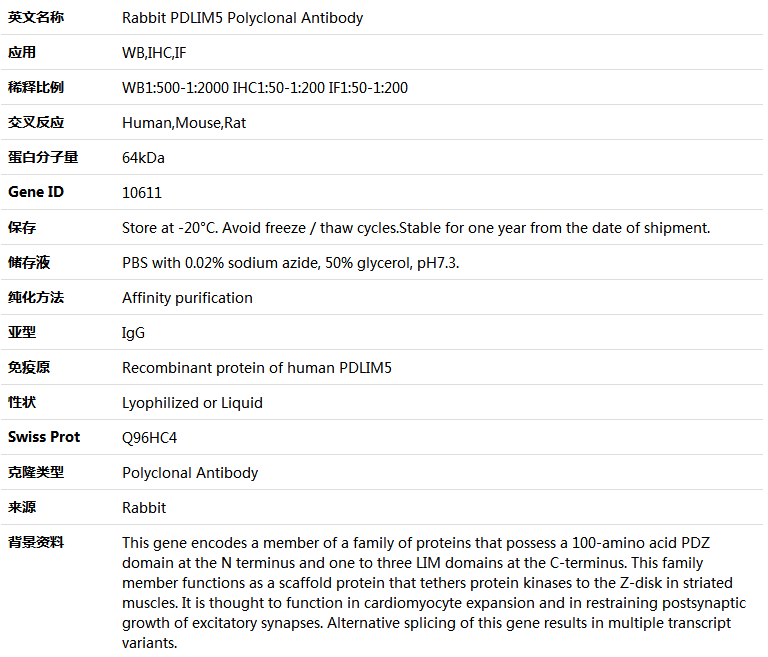 PDLIM5 Antibody,索莱宝,K004160P-30ul