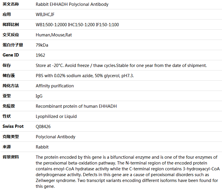 EHHADH Antibody,索莱宝,K004158P-100ul