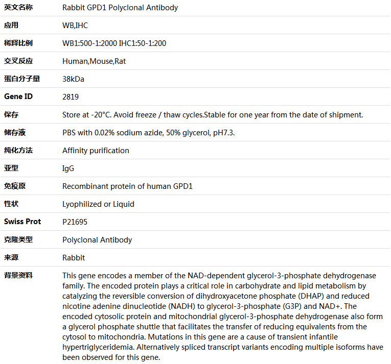 GPD1 Antibody,索莱宝,K004156P-100ul
