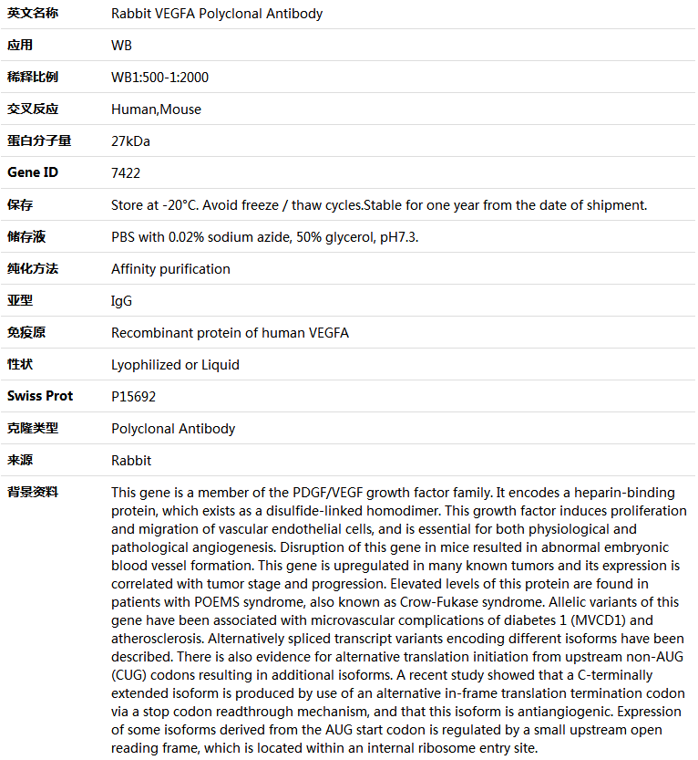 VEGFA Antibody,索莱宝,K004152P-30ul