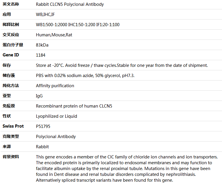 CLCN5 Antibody,索莱宝,K004151P-100ul