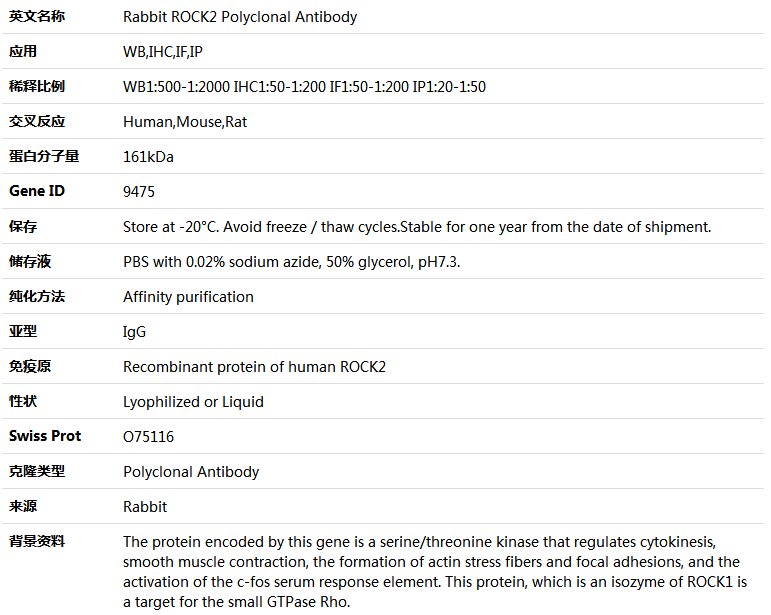 ROCK2 Antibody,索莱宝,K004146P-30ul