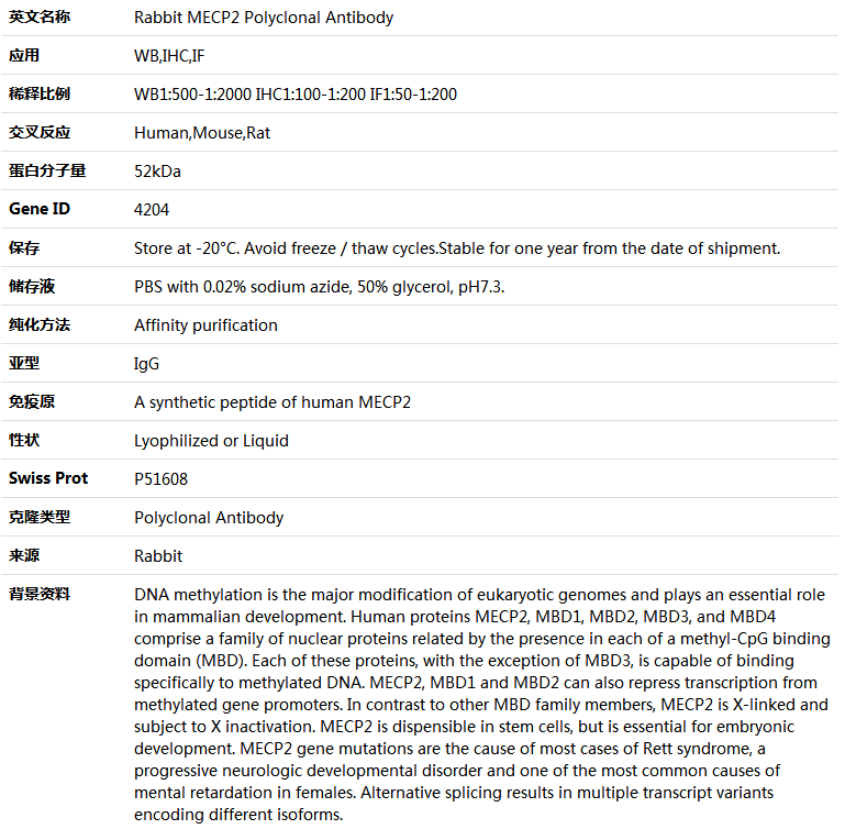 MECP2 Antibody,索莱宝,K004143P-30ul