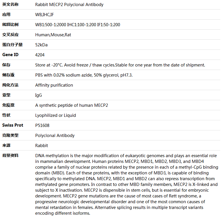 MECP2 Antibody,索莱宝,K004143P-100ul