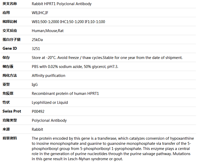 HPRT1 Antibody,索莱宝,K004142P-50ul