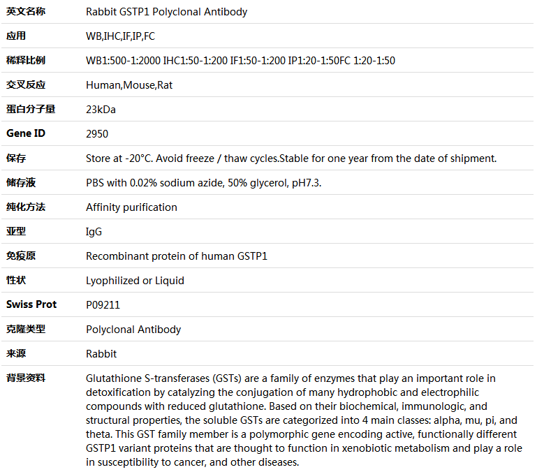 GSTP1 Antibody,索莱宝,K004141P-30ul