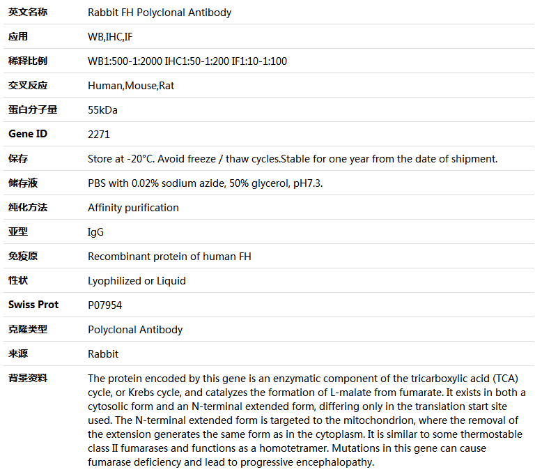 FH Antibody,索莱宝,K004139P-50ul