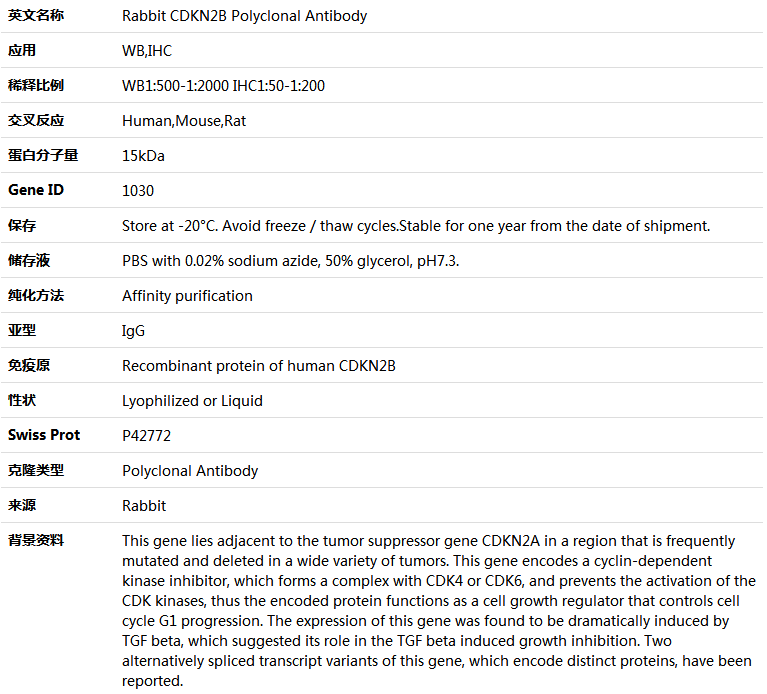 CDKN2B Antibody,索莱宝,K004136P-100ul