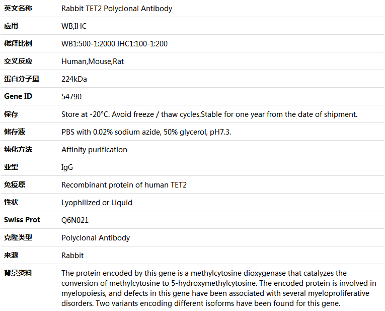 TET2 Antibody,索莱宝,K004133P-50ul