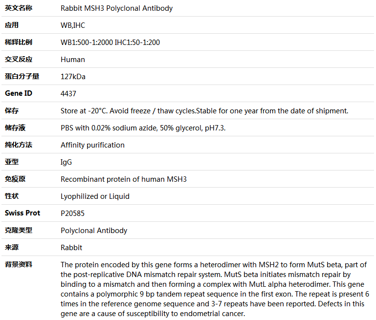 MSH3 Antibody,索莱宝,K004132P-50ul