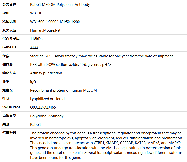 MECOM Antibody,索莱宝,K004127P-50ul