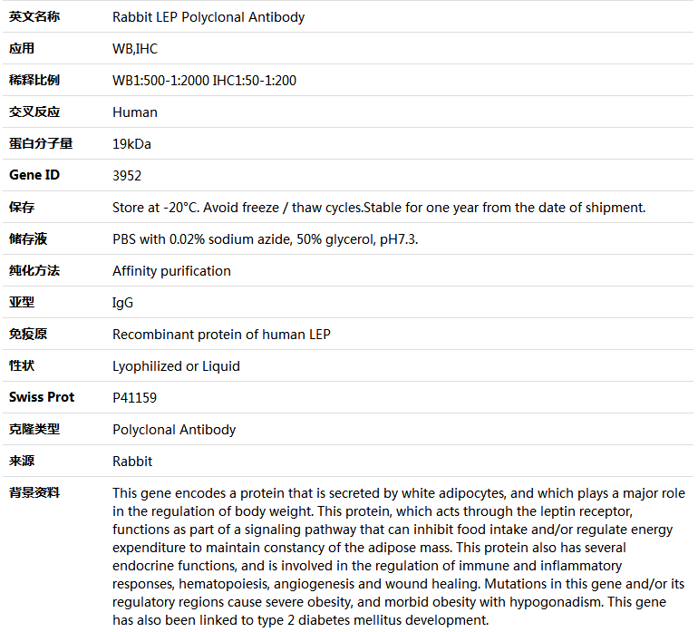 LEP Antibody,索莱宝,K004126P-100ul
