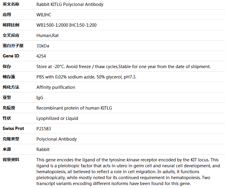 KITLG Antibody,索莱宝,K004125P-50ul