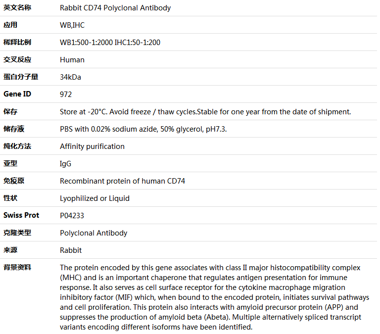 CD74 Antibody,索莱宝,K004121P-100ul