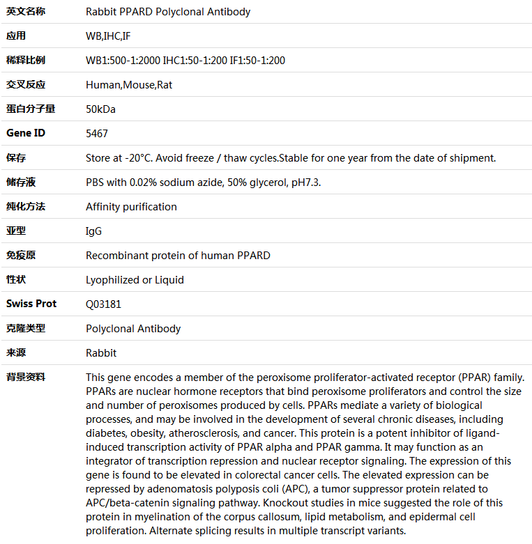 PPARD Antibody,索莱宝,K004112P-30ul