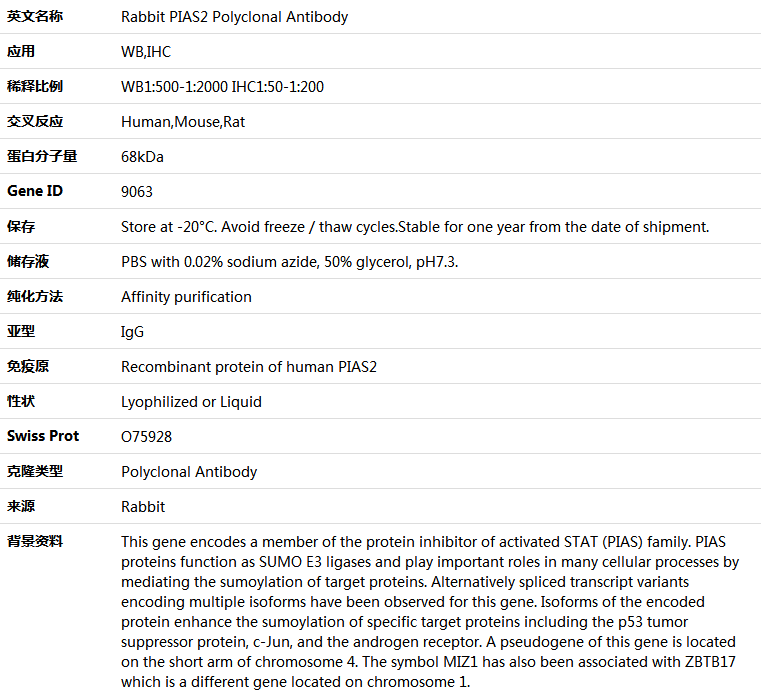 PIAS2 Antibody,索莱宝,K004110P-30ul