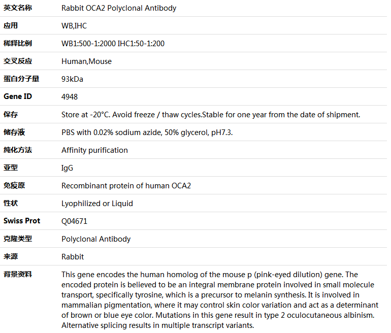 OCA2 Antibody,索莱宝,K004109P-50ul