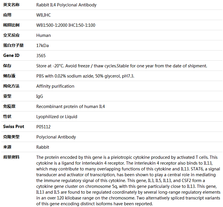 IL4 Antibody,索莱宝,K004107P-50ul