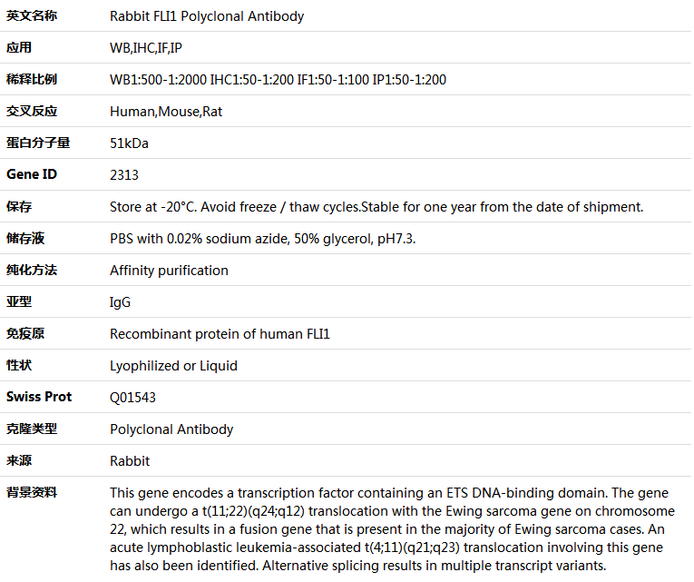 FLI1 Antibody,索莱宝,K004104P-50ul