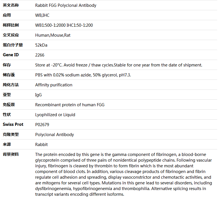FGG Antibody,索莱宝,K004102P-50ul