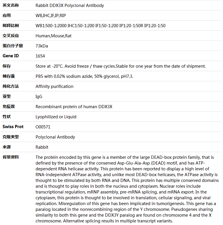 DDX3X Antibody,索莱宝,K004098P-100ul