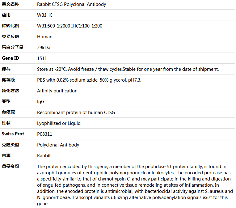 CTSG Antibody,索莱宝,K004097P-100ul