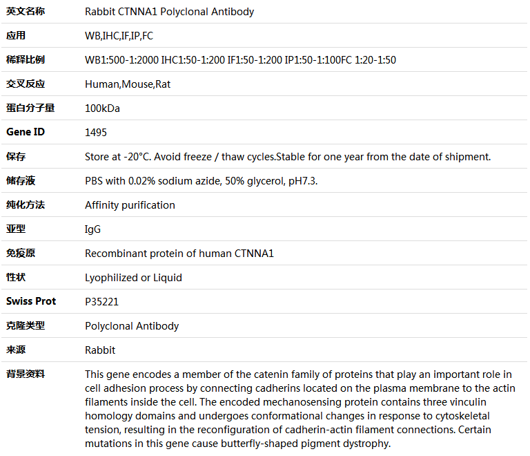 CTNNA1 Antibody,索莱宝,K004096P-30ul