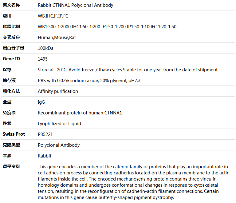 CTNNA1 Antibody,索莱宝,K004096P-100ul