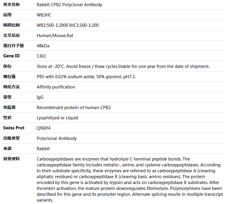 CPB2 Antibody,索莱宝,K004095P-50ul