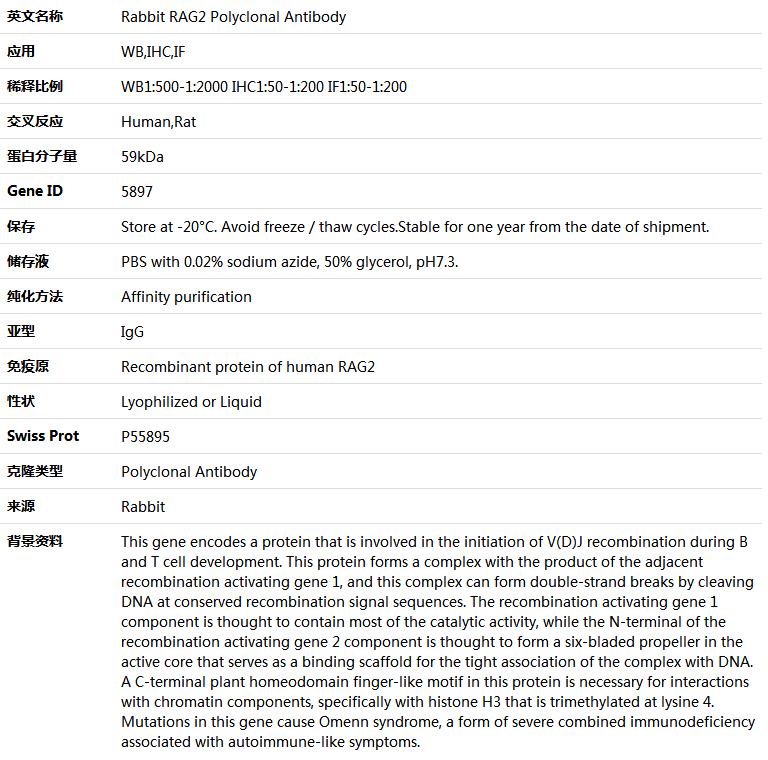 RAG2 Antibody,索莱宝,K004091P-100ul