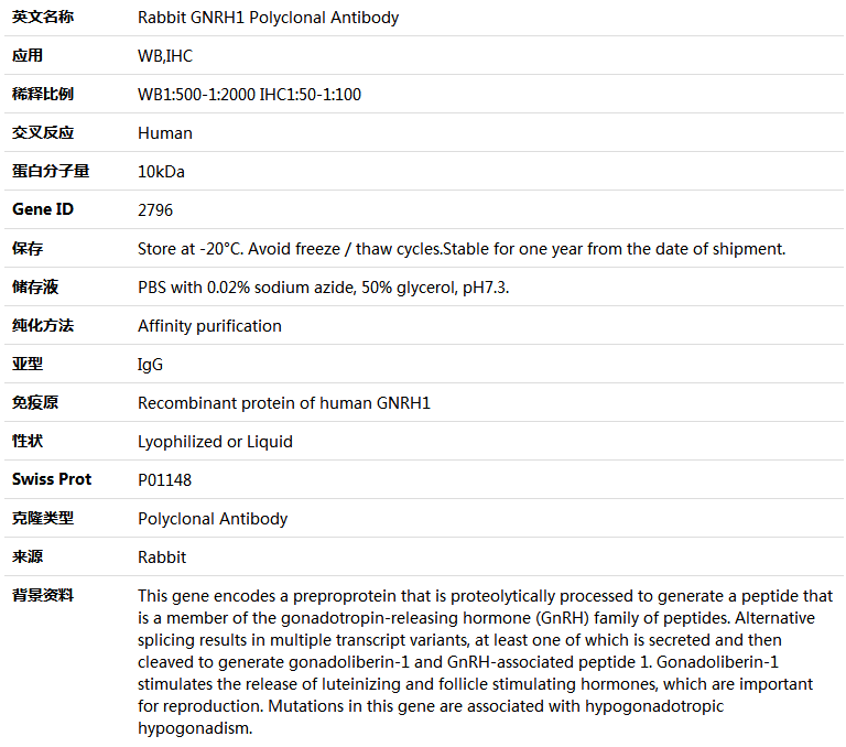 GNRH1 Antibody,索莱宝,K004090P-100ul