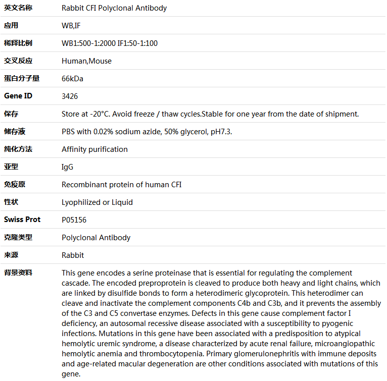 CFI Antibody,索莱宝,K004089P-100ul