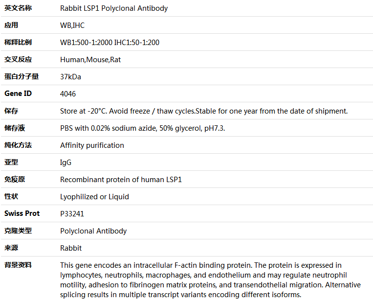 LSP1 Antibody,索莱宝,K004084P-50ul