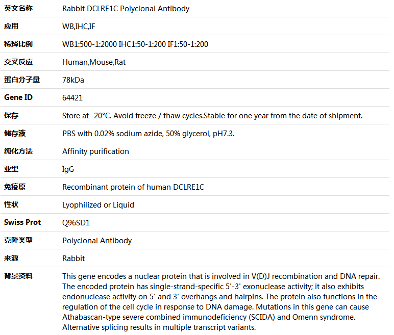 DCLRE1C Antibody,索莱宝,K004083P-100ul