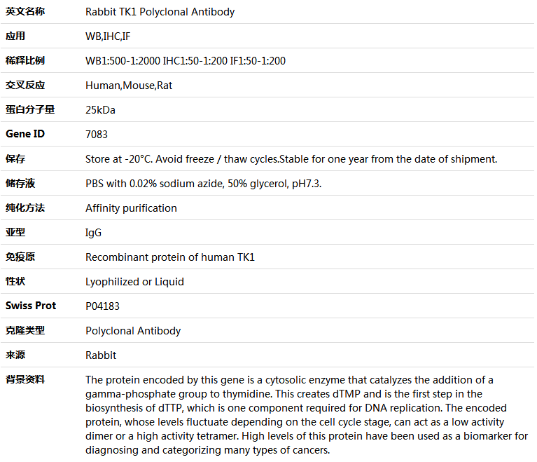 TK1 Antibody,索莱宝,K004082P-50ul