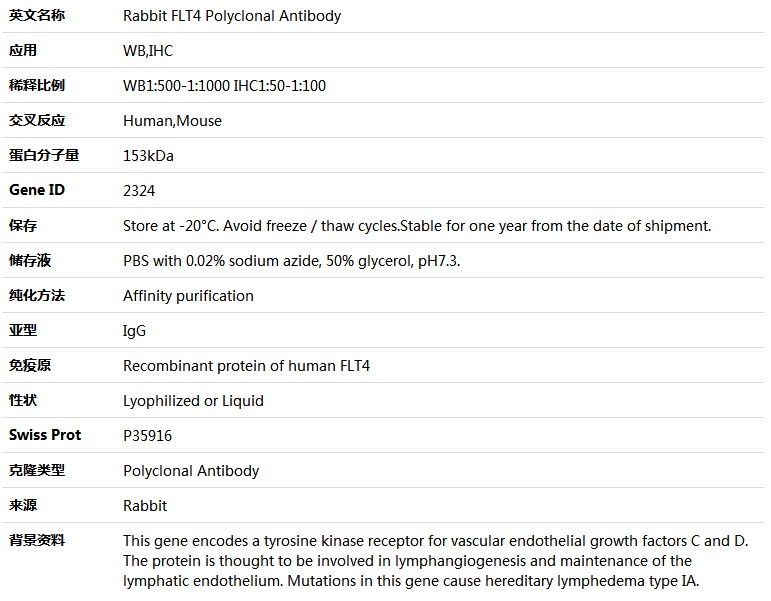 FLT4 Antibody,索莱宝,K004080P-50ul