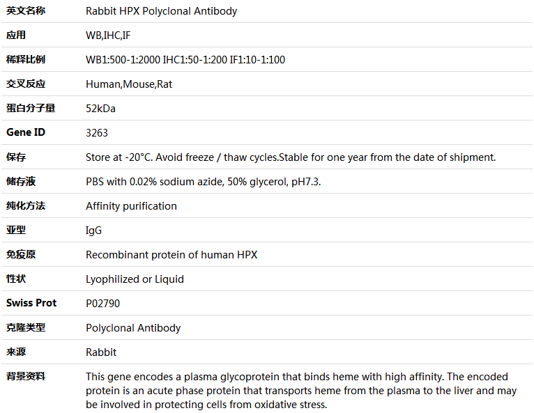 HPX Antibody,索莱宝,K004079P-100ul