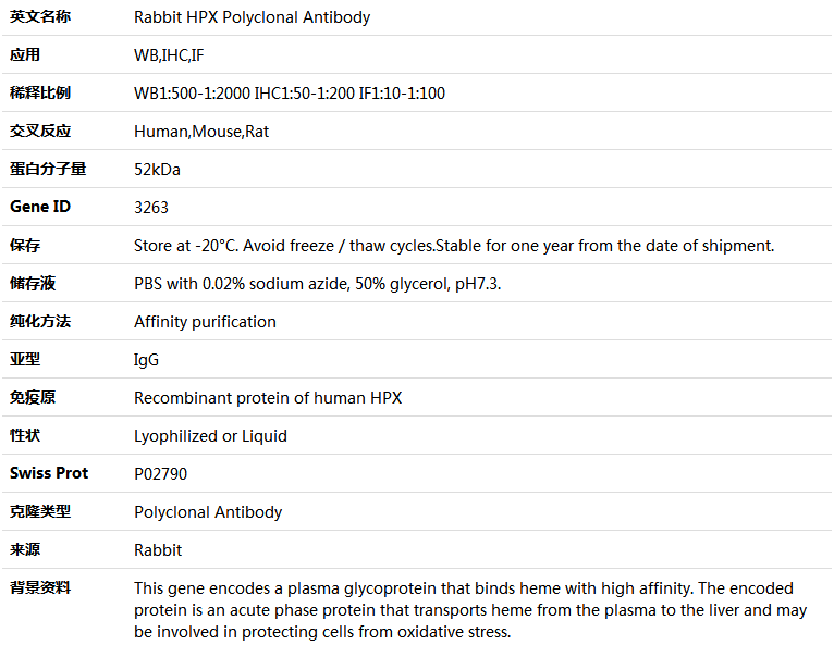 HPX Antibody,索莱宝,K004079P-50ul