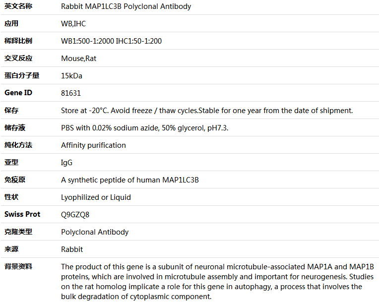 MAP1LC3B Antibody,索莱宝,K004077P-50ul