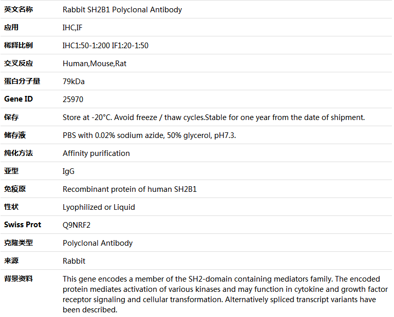SH2B1 Antibody,索莱宝,K004068P-50ul