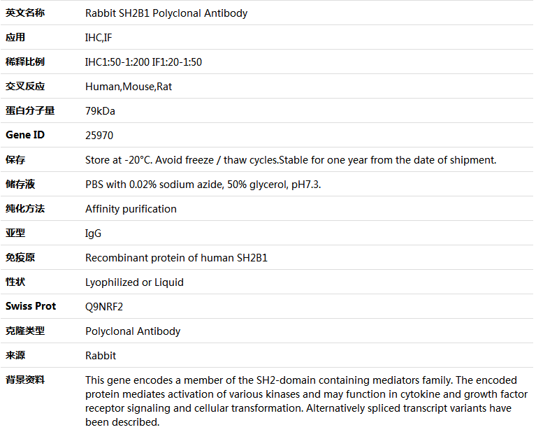 SH2B1 Antibody,索莱宝,K004068P-100ul