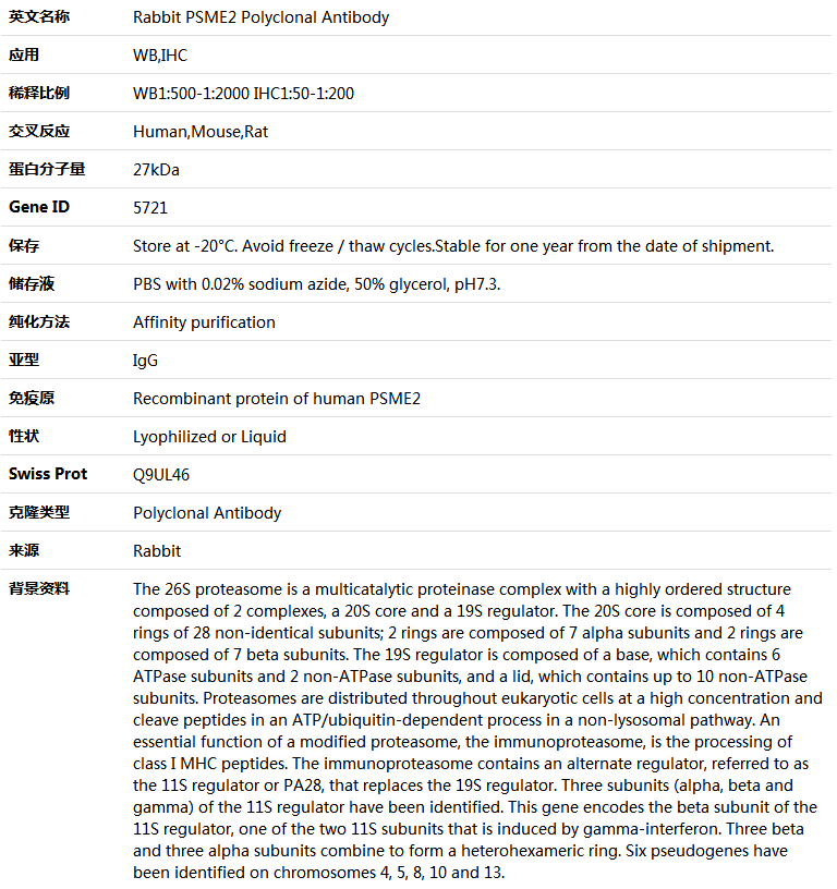 PSME2 Antibody,索莱宝,K004066P-100ul