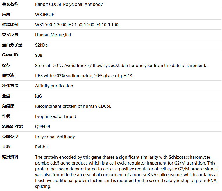 CDC5L Antibody,索莱宝,K004064P-100ul