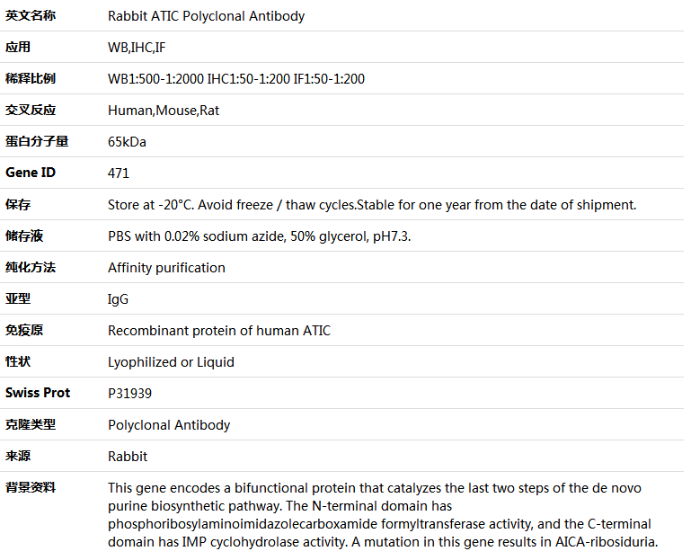 ATIC Antibody,索莱宝,K004063P-100ul