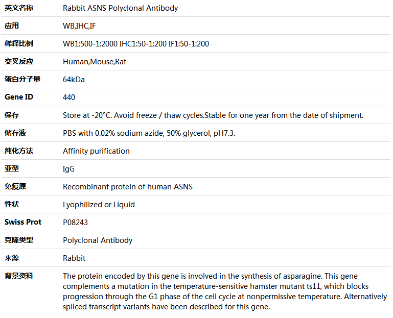 ASNS Antibody,索莱宝,K004062P-50ul