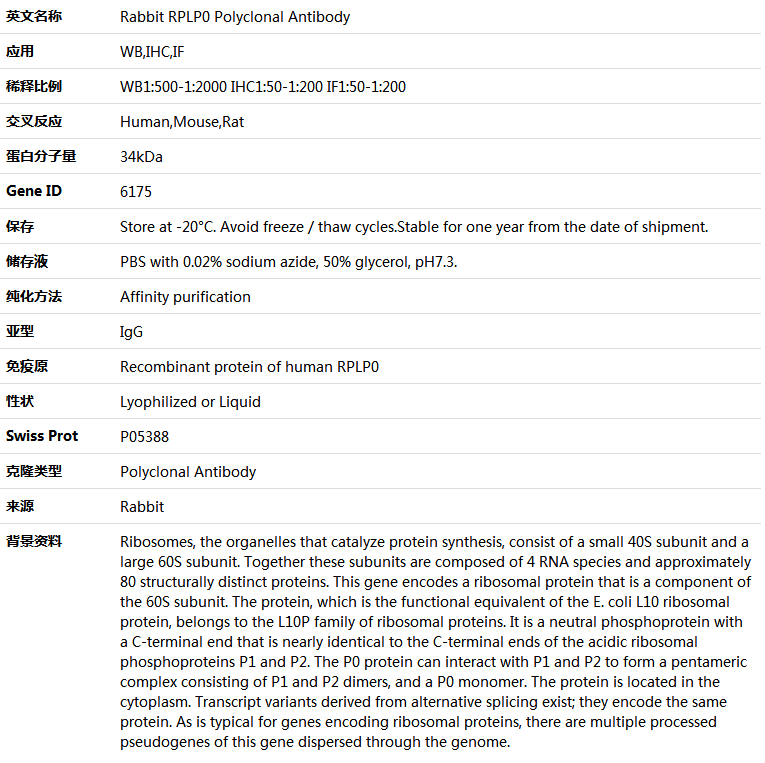 RPLP0 Antibody,索莱宝,K004061P-100ul